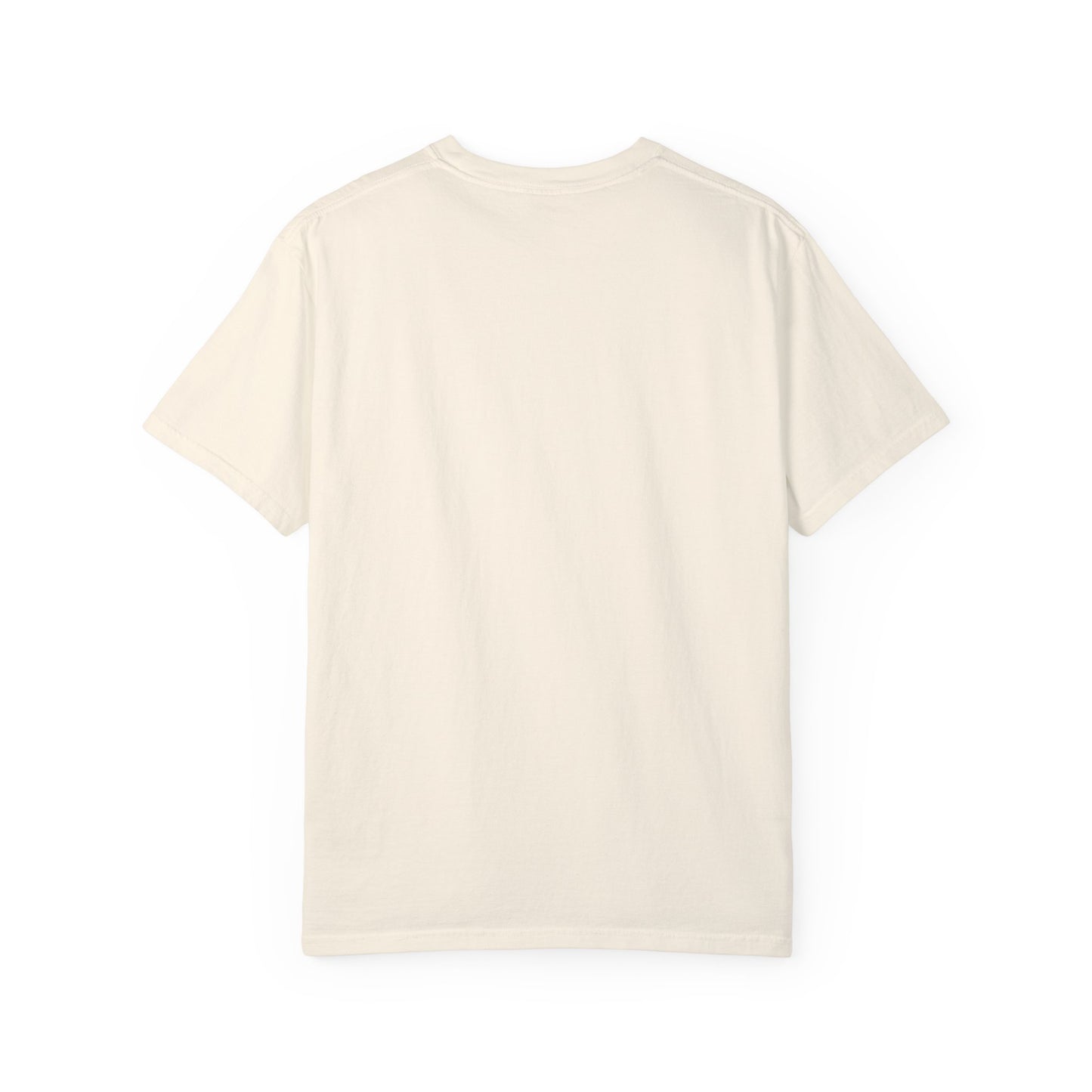 Begetter's Unisex Garment-Dyed T-shirt