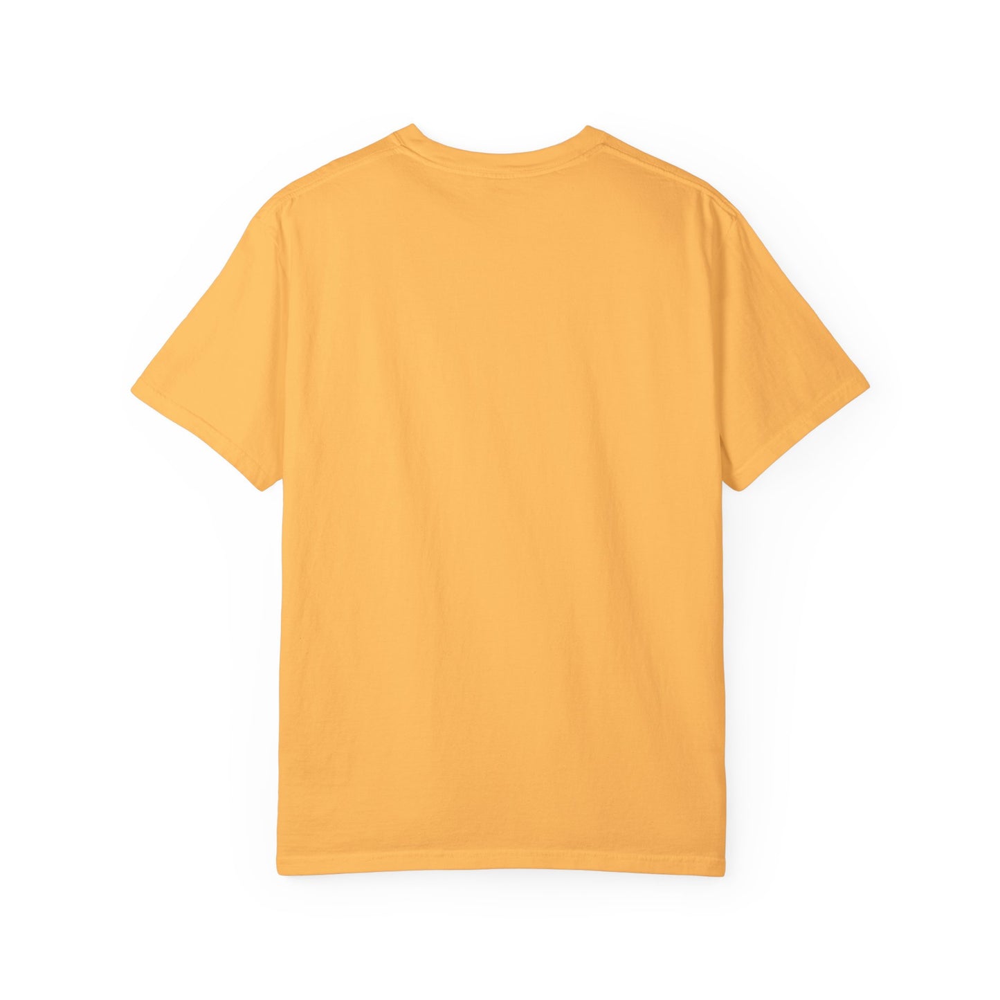 Begetter's Unisex Garment-Dyed T-shirt