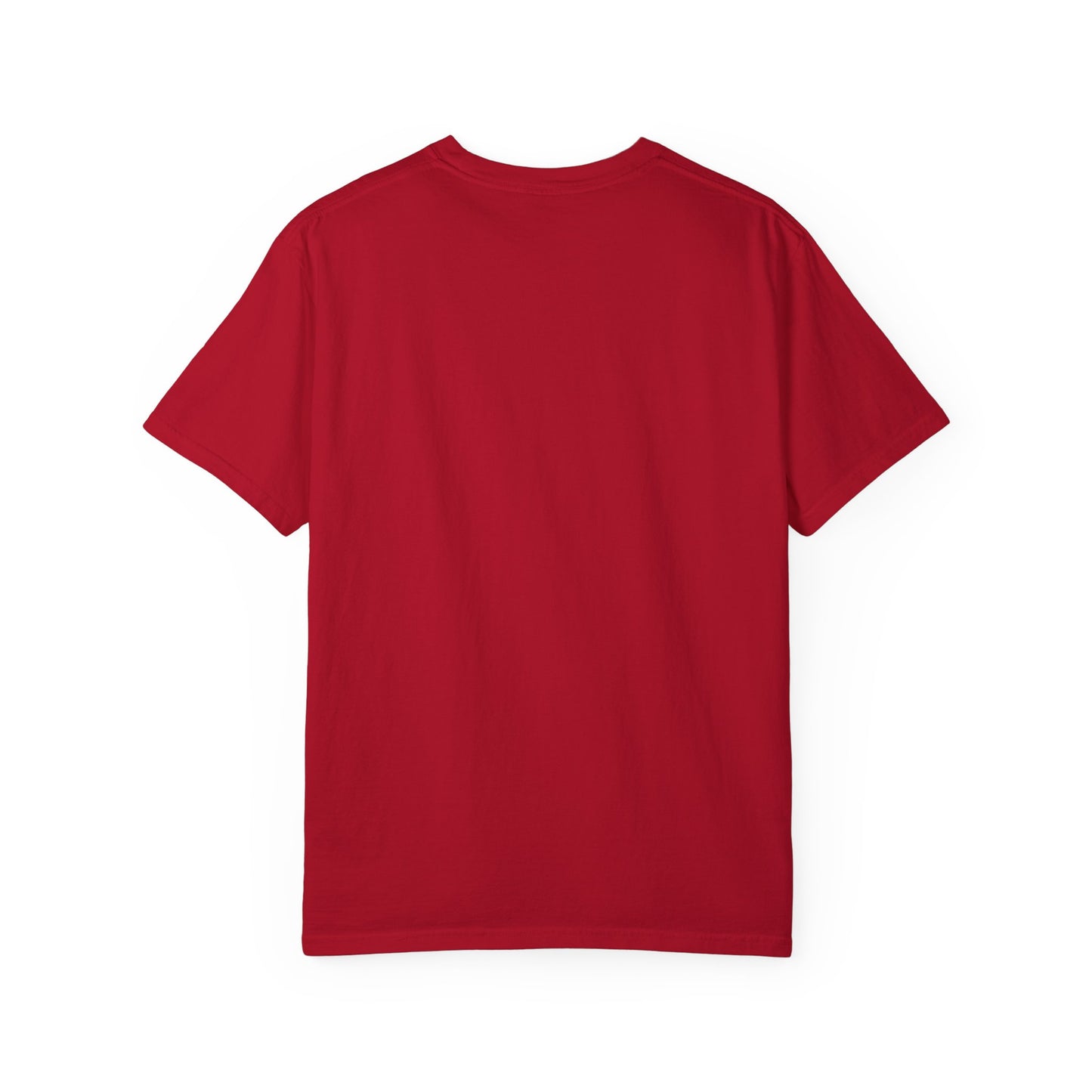 Ok Brooklyn Unisex Garment-Dyed T-shirt (OKBSLY)