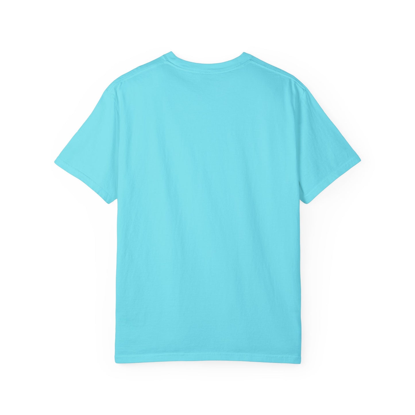 Begetter's Unisex Garment-Dyed T-shirt
