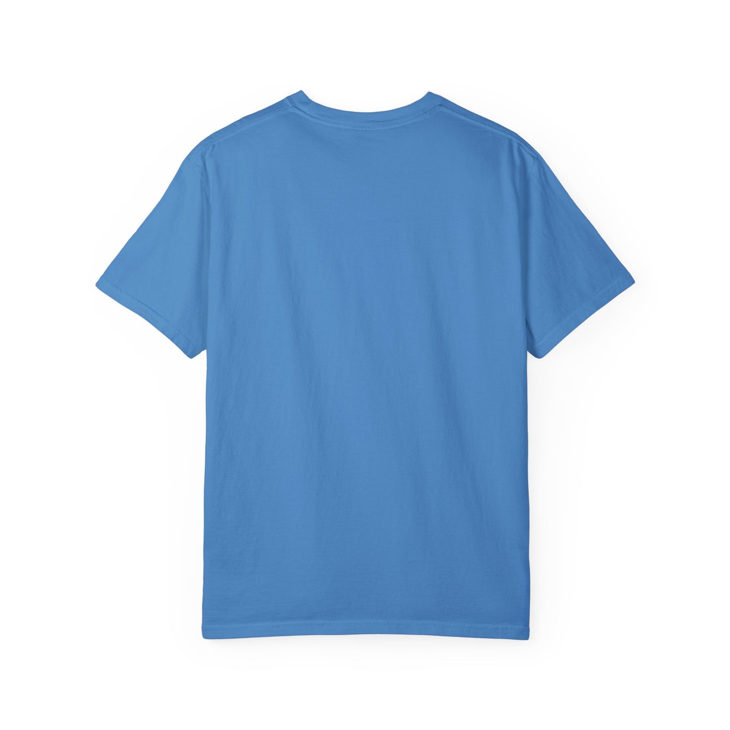 Begetter's Unisex Garment-Dyed T-shirt